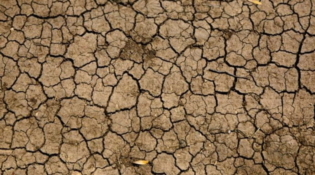 How has Delhi's weather changed over the Years