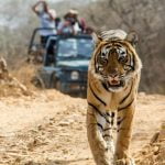 Jim Corbett National Park
