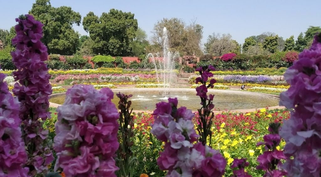 Mughal Garden (Amrit Udyan)