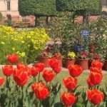 Mughal Garden (Amrit Udyan)