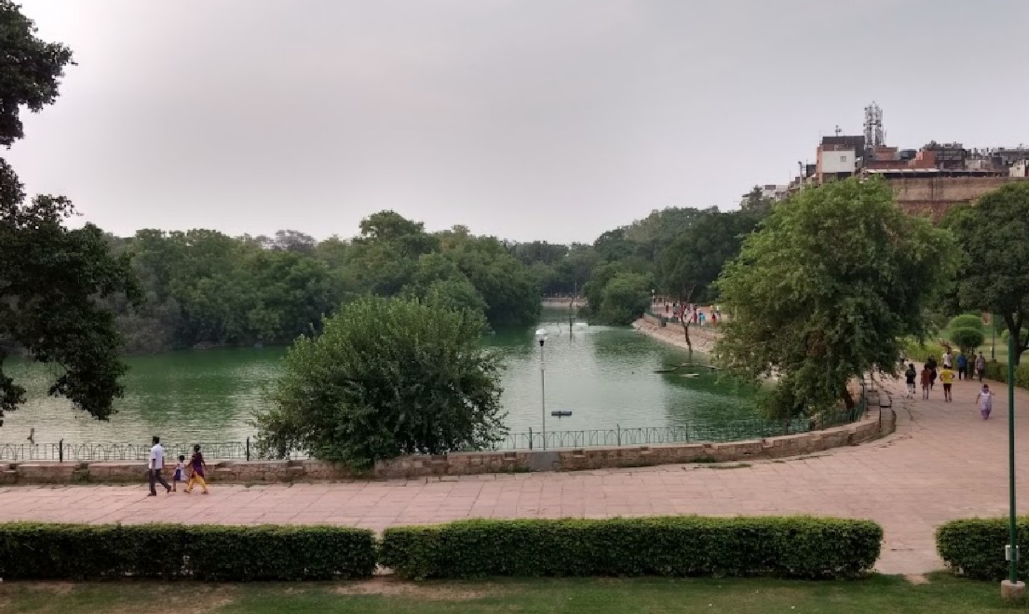Deer Park Delhi A Serene Green Oasis In The Heart Of The City Delhi deer-park-delhi-a-serene-green-oasis-in-the-heart-of-the-city-delhi