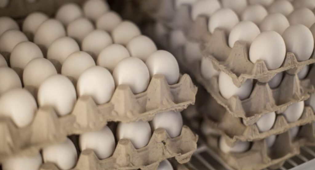 Egg Price Delhi
