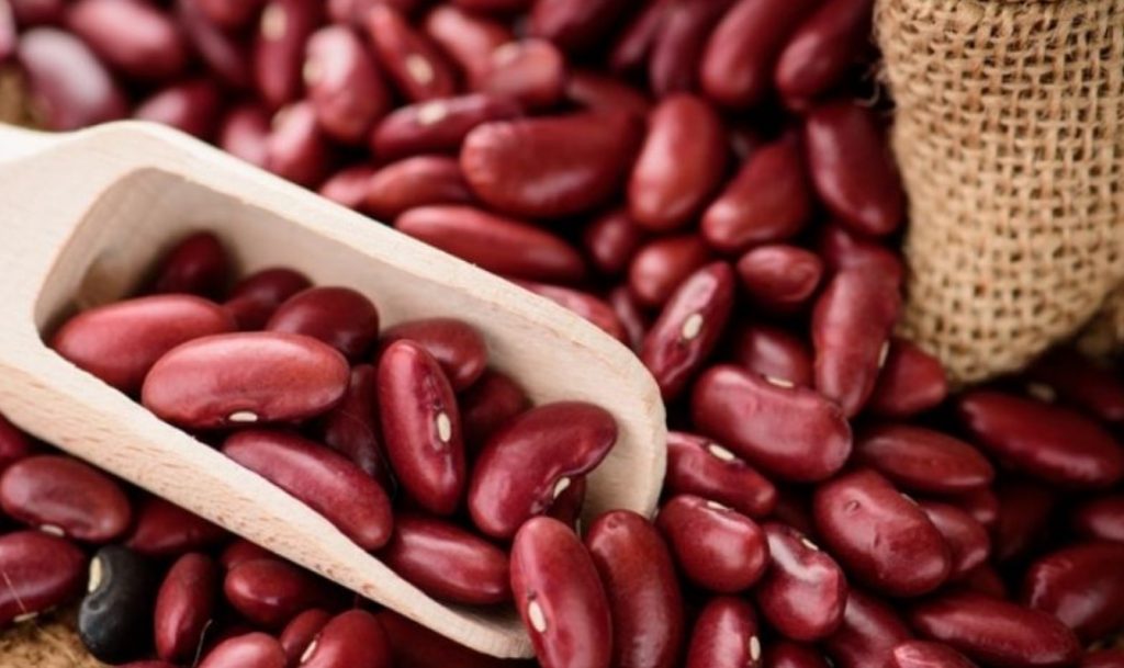 Rajma Price in Delhi