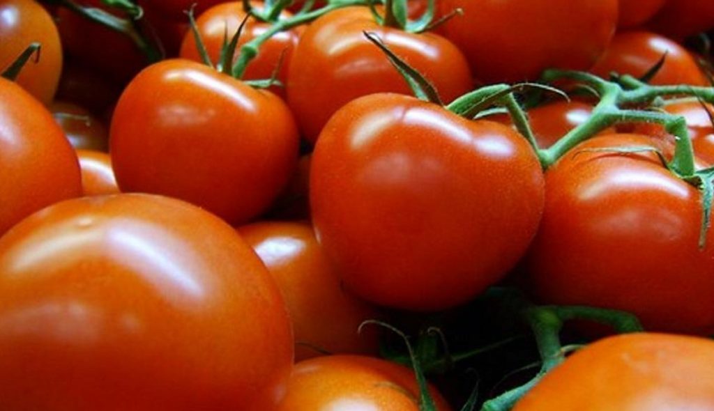 Tomato Rates