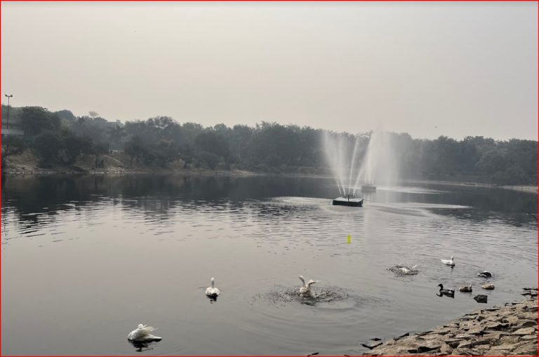 Japanese Park Delhi